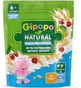 Каша детская Gipopo Мультизлаковая молочная Яблоко-Вишня с 6 месяцев 170г