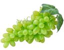 Виноград Томпсон