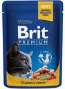 Корм для кошек Brit кусочки с лососем и форелью, 100 г