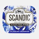 Конфеты освежающие без сахара смородина-базилик Scandic 14г