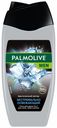 Гель для душа Palmolive Men Арктический ветер 3 в 1 мужской 250 мл