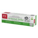 Паста зубная СПЛАТ, Профэшнл, Лечебные травы, 100мл