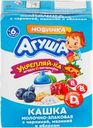 Каша злаковая АГУША Укрепляй-ка, молочная с черникой, малиной и яблоком 2,7%, с 6 месяцев, 200мл