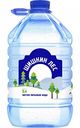 Вода питьевая Шишкин лес негазированная, 5 л