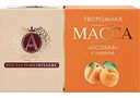 Масса творожная А.Ростагрокомплекс Особая с курагой 23%, 100г