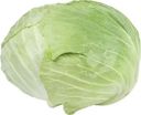 Капуста белокочанная