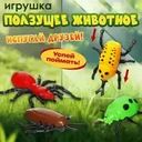 Игрушка "Ползущее животное", Play the Game, в ассортименте