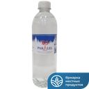 Вода питьевая 69 PARALEL артезианская негазированная 0,5л
