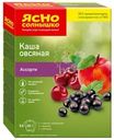 Каша овсяная Ясно Солнышко черная смородина-вишня-яблоко 270г
