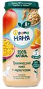 Пюре детское ФрутоНяня 100% Natural 250г тропический микс с мультизлаками