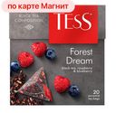 Чай ТЕСС, Форест Дрим, 20 пирамидок