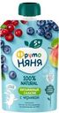 Пюре ФрутоНяня Витаминный Салатик с черникой с 5 мес. 90г
