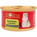 Консервы для кошек мясо в желе Molina с цыплёнком и лососем, 80 г