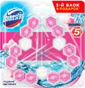 Блок для очищения унитаза Domestos  POWER 5 TRIO ледяная магнолия, 3X55 гр