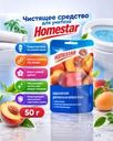 Чистящее средство для унитаза, Homestar, 50 г, в ассортименте