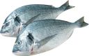 Дорадо ЛЕНТА FRESH непотрошеная с головой (из замороженного сырья) 300–400г, весовая