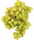 Виноград белый кишмиш, 1 кг