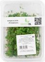 Микрозелень Руккола GreenDL