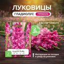 Луковицы "Гладиолус", Петрофлора, 2 шт., в ассортименте