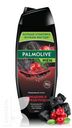 Гель PALMOLIVE Men Очищение и Перезагрузка 4в1  для тела/волос/лица и бороды 500мл