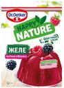 Смесь для приготовления десерта Dr. Oetker Желе малина-ежевика 45 г