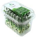 Микрозелень гороха GreenDL 60 г