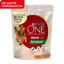 Корм сухой для собак PURINA ONE®, Непоседа, курица-рис, 600г