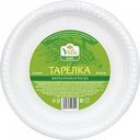 Тарелки одноразовые Глобус Вита биоразлагаемые, d 23 см, 5 шт.