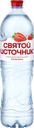 Вода СВЯТОЙ ИСТОЧНИК со вкусом клубники, негазированная