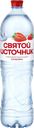 Напиток СВЯТОЙ ИСТОЧНИК со вкусом клубники негазированный, 1.5л