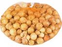 Лук-севок Штутгартер Ризен, 0,5 кг