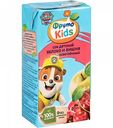 Сок детский осветлённый ФрутоKids Яблоко и вишня с 5 месяцев, 200 мл