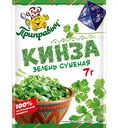 Кинза сушёная Приправыч зелень, 7г