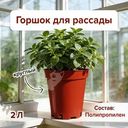 Горшок круглый для рассады, 2 л, в ассортименте