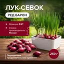 Лук-севок "Ред Барон", 250 г