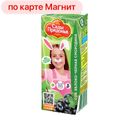 Сок САДЫ ПРИДОНЬЯ, Яблоко-черная смородина, 200мл