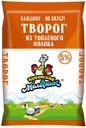 Творог «Кубанский молочник» из топленого молока 5%, 180 г