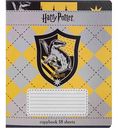 Тетрадь А5 Harry Potter клетка, 18 листов