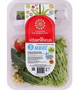 Салатный ростковый микс Vitamincus №5, 100 г