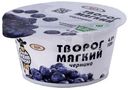 Творог мягкий Очень Важная Корова с черникой 4.2%, 125г