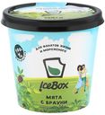 Мороженое IceBox пломбир с мятой с брауни, 150 мл