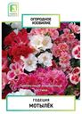 Семена Поиск Огородное изобилие Годеция Мотылёк, 0.3г