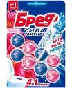 Туалетный блок Бреф Сила-Актив Цветочная свежесть, 2×50г