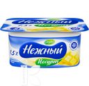 БЗМЖ Йогурт CAMPINA НЕЖНЫЙ 100г в ассортименте