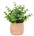 Растение Эвкалипт искусственное, 15см