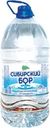 Вода питьевая SPRING Сибирский бор артезианская 1-й категории негазированная, 5л