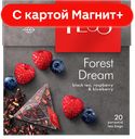 TESS Forest Dream 20 пирамид 36г (НЕП):12