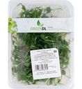 Микрозелень Горох GreenDL
