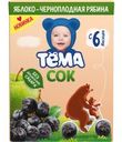 Сок «Тёма» яблоко-черноплодная рябина, с 6 месяцев, 200 мл