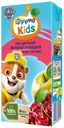 Сок «ФрутоНяня» ФрутоKids яблочно-вишевый осветленный для детей раннего возраста, 200 мл